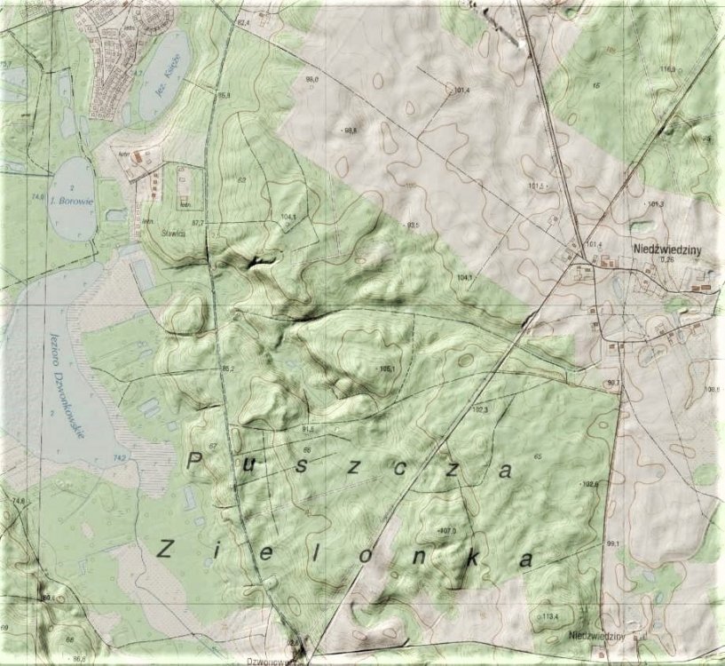 Niedźwiedziny 1a.jpg